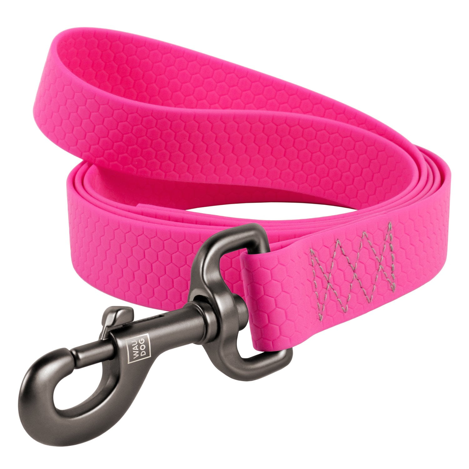 pink leash and collar