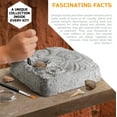 thumbnail image 5 of Discovery™ #MINDBLOWN Colossal Fossil Dig Excavation Science Kit, 15-Pieces, for Kids & Teens, 5 of 11