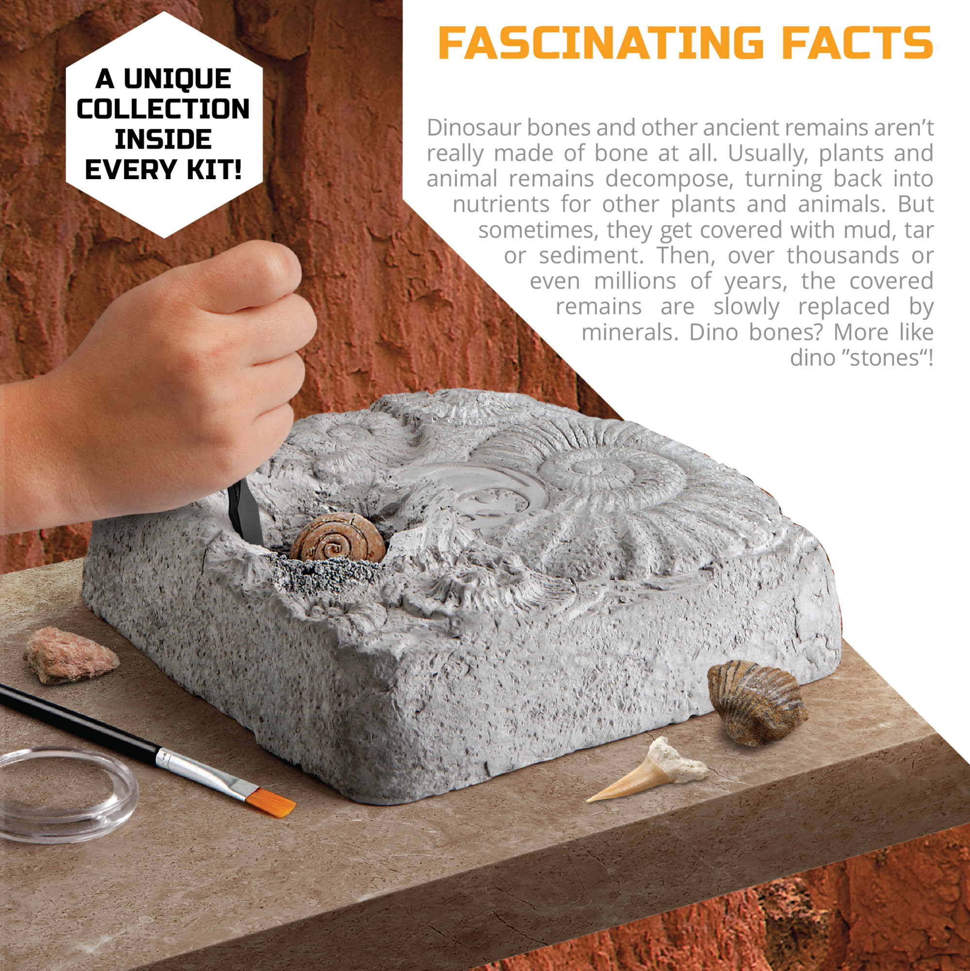 Discovery #Mindblown Colossal Fossil Dig Excavation Kit photo 4