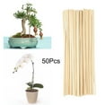 thumbnail image 1 of 50Pcs Bamboo Sticks Garden Plant Support Flower Stick Gardening Tool, 1 of 10