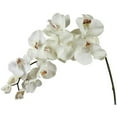 thumbnail image 1 of Creamy White Phalenopsis Orchid Stem Artificial Flower, 1 of 1