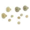 thumbnail image 3 of Motores RC Engranajes de plástico,Motores RC Engranajes de plástico T Piñón de plástico Kit de engranajes de plástico Instalación sin esfuerzo, 3 of 12