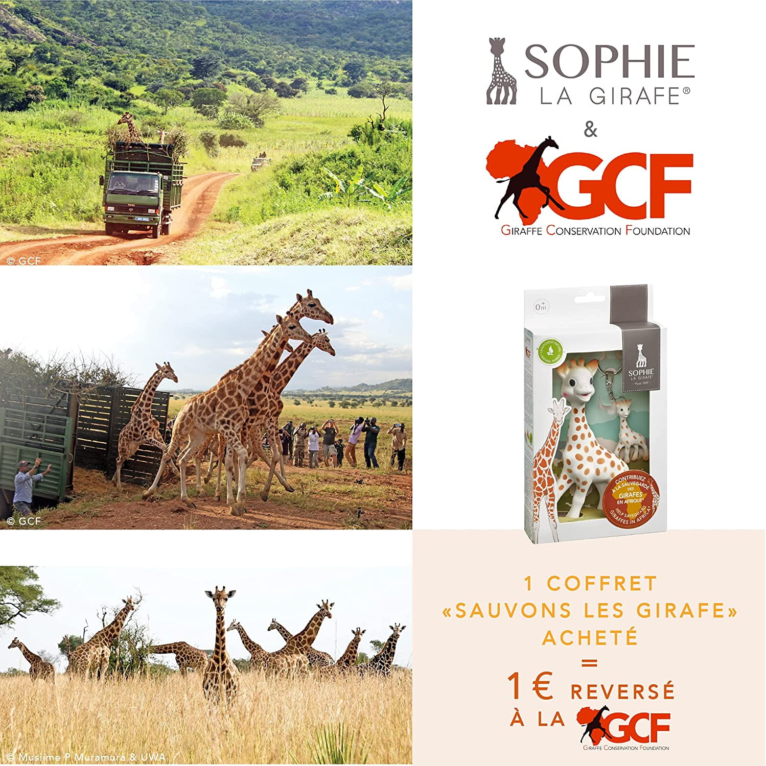 Sophie la girafe x GCF Giraffe Conservation Foundation Set Multi-Coloured