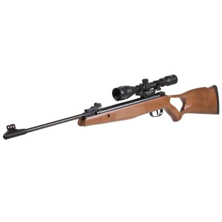 Diana 250 Air Rifle .22 Caliber (Best 22 250 Rifle For The Money)