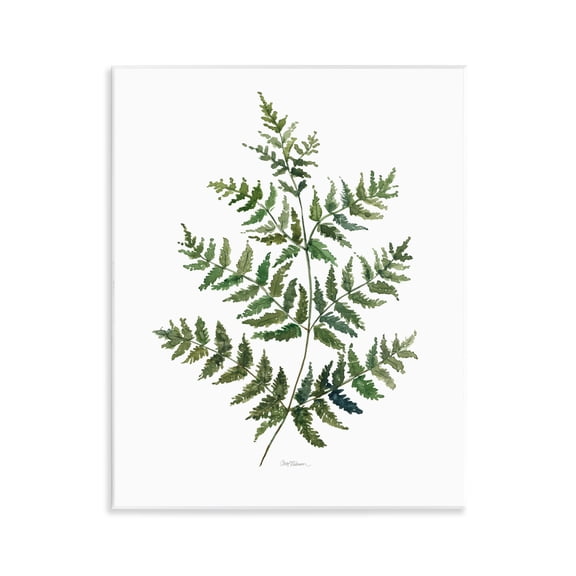 Stupell Industries Flared Fern Branches Floral Painting Unframed Art Print Wall Art, 11 x 14