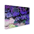 thumbnail image 2 of Trademark Fine Art "Paris Flower Market Hydrangeas" Canvas Art by Kathy Yates, 2 of 3