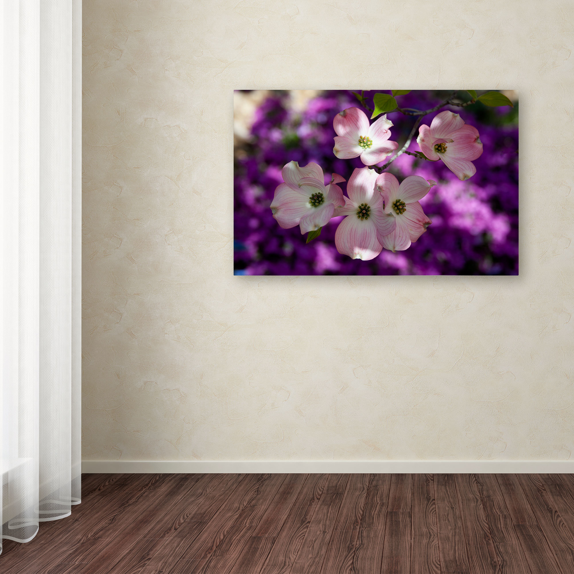 Trademark Fine Art "Pink Dogwood" Canvas Art by Kurt Shaffer