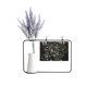 thumbnail image 1 of Hong Kong visitar Check Point Tarjeta de jarrón de lavanda artificial, 1 of 3