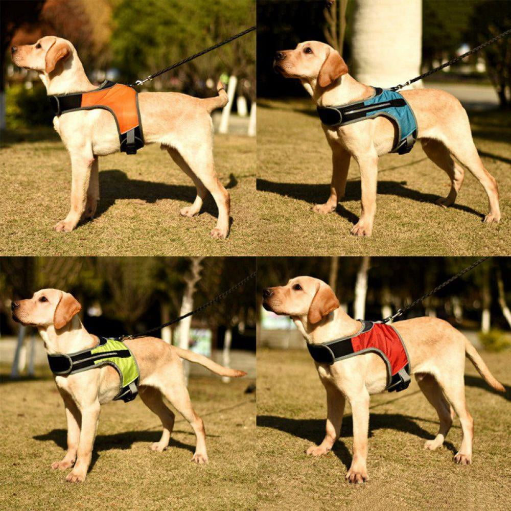 Whats The Best No Pull Dog Harness