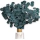 thumbnail image 1 of Hoja de Manzana Inmortal - Verde Ormromra OTTO-WX-0040, 1 of 7