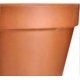 thumbnail image 4 of Set of 4 Terracotta Flower Pots - 15 cm - With Rim - For Indoors and Garden, 4 of 5