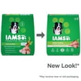 IAMS Adult Minichunks Small Kibble High Protein Dry Dog Food with Real