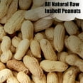 thumbnail image 4 of Old Potters Wildlife in-Shell Peanuts, 4 lbs for Birds, Squirrels, and Wildlife. USA Grown Non-GMO, Small Farm, Raw in-Shell Peanuts. Wildlife Grade., 4 of 6