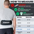 thumbnail image 2 of Synergee Weightlifting Belt 5” Padded Support for Squats Deadlifts Powerlifting & Cross Training - X-Large, 2 of 5