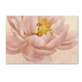 thumbnail image 2 of Trademark Fine Art 'Pink Peony' Canvas Art by Cora Niele, 2 of 4