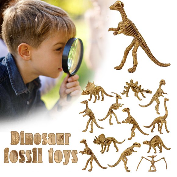 Riforla Dinosaur Fossil Skeleton (12 Pieces) Assorted Figures Dinosaur Toys for Kids Education Brown