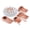 Blossom, variant on Exquisite 240 Piece Cream Victorian Disposable Plastic Dinnerware Combo Set, Serves 40 Guests