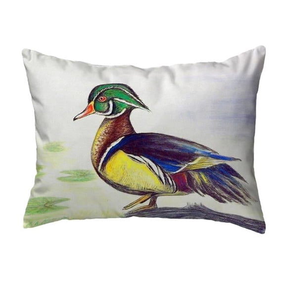 11 x 14 in. Male Wood Duck Script Small No-Cord Pillow