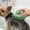 🔥 Green_New, variant on onlyliua Versatile Pet Massage And Deshedding Brush Dual-Use Grooming Tool For Cats And Dogs Gentle Detangling Fur Removal Stimulating Scalp Circulation Easy-Clean Comfortable Grip Groomer
