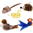thumbnail image 5 of Pet Interactive Cat Toy Plush Toys for Dogs and Cats (Hedgehog), 5 of 5