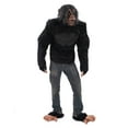 thumbnail image 3 of Chimp, Chimp Kit, 3 of 3