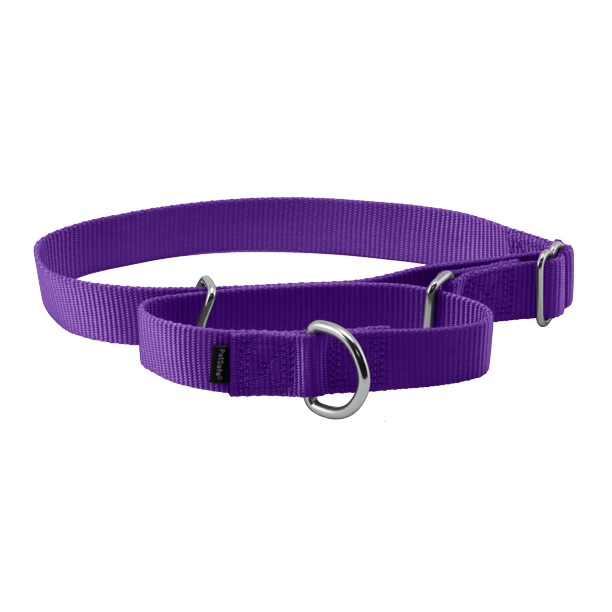PetSafe Martingale Dog Collar, Large, 1 in, Deep Purple