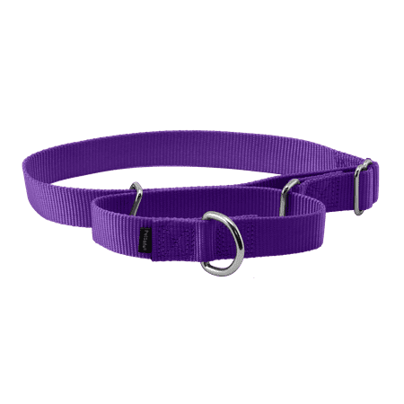 PetSafe Martingale Dog Collar  Large  1 in  Deep Purple