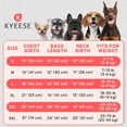 thumbnail image 5 of KYEESE 2 Pack Dog Shirts, Quick Dry Soft T-Shirt for Small Medium and Large Dogs, Grey+Blue, 3XL, 5 of 9