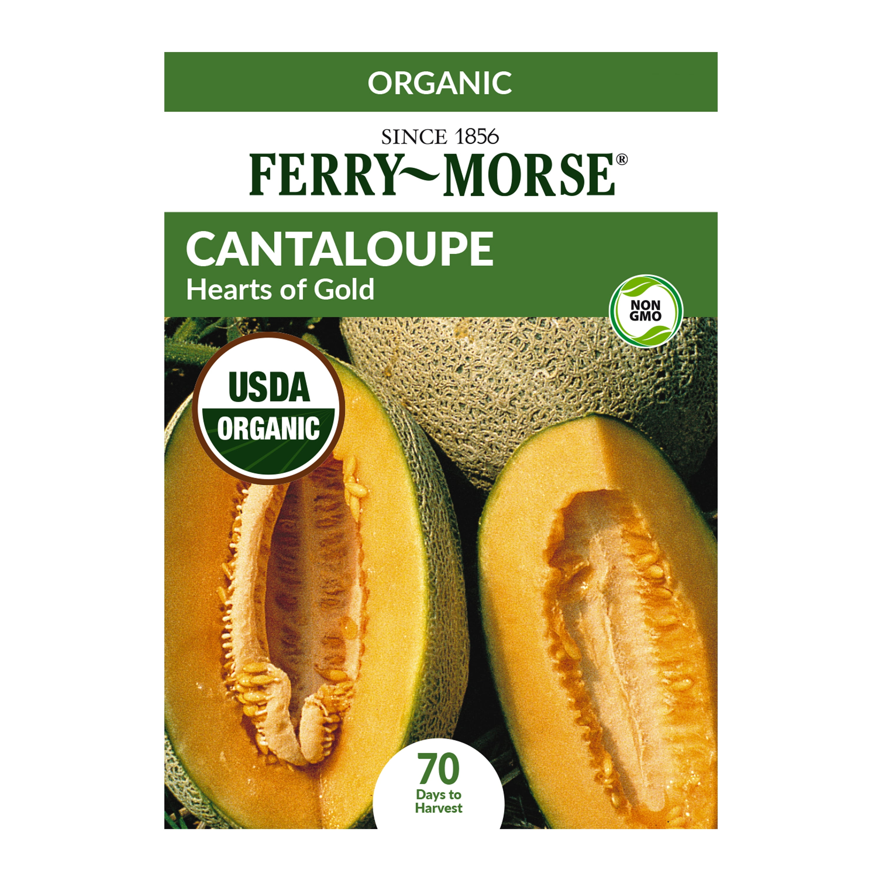 Ferry-Morse Organic Cantaloupe Hearts of Gold Plant Seeds (1 Pack) - Seed Gardening, Full Sun