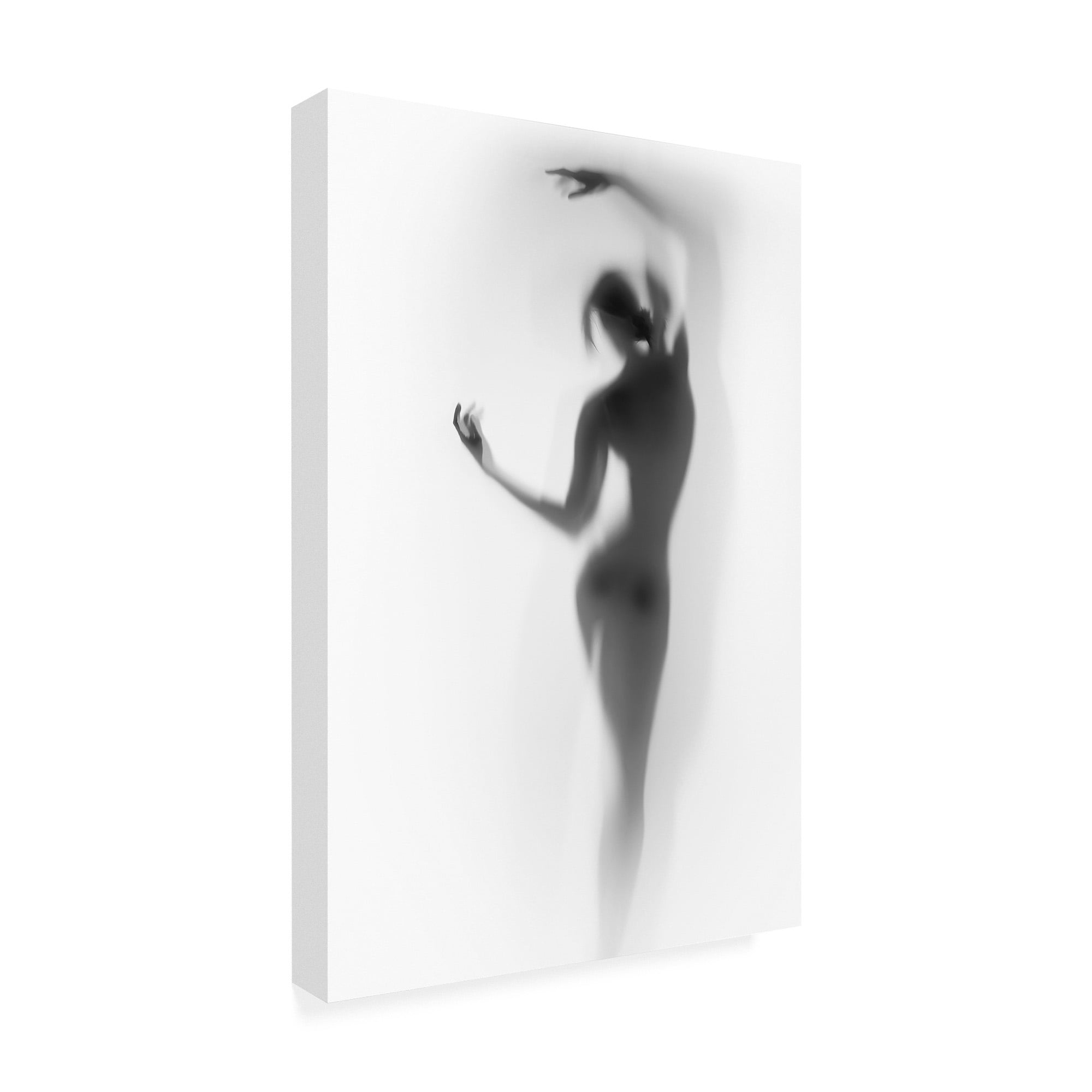 Trademark Fine Art 'Ballet Silhouette' Canvas Art by Incado