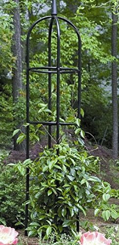 Tall Black Garden Obelisk. This Round Metal Trellis is a Nice Outdoor