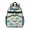 Dinosaur Names Chart Pattern, variant on Skateboarding Dinosaur Pattern Cute School Backpack Bag for School with Padded Back and Adjustable Shoulder Straps 15.25"x11.5"x5.25"