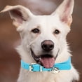 thumbnail image 4 of Minimalist Candy Color Pet Collar Adjustable Leather Neckband for Cats and Dogs with Secure Buckle Design, 4 of 5