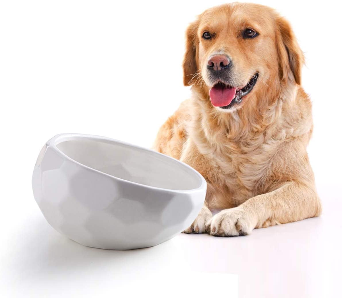 ceramic dog bowls medium