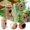 Beige, variant on Bird Wooden Hummingbird 2025 Design for Outdoor Hanging Wooden Hummingbird with Ropes Ideal Gardening Home Decoration