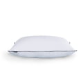 thumbnail image 1 of 100% Cotton Plush Soft White Goose Down & Feather Pillow, 1 of 7