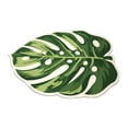 thumbnail image 3 of Alfombra de baño, alfombra de baño, alfombra de barro de diatomeas, alfombra de suelo de barro de diatomeas, felpudo interior para entrada, baño, , Monstera deliciosa, 3 of 8