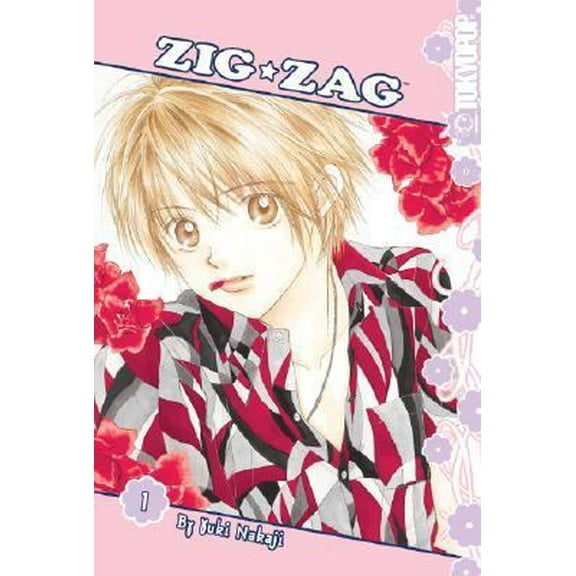 Pre-Owned Zig*Zag, Vol. 1 (Paperback) 1427803080 9781427803085