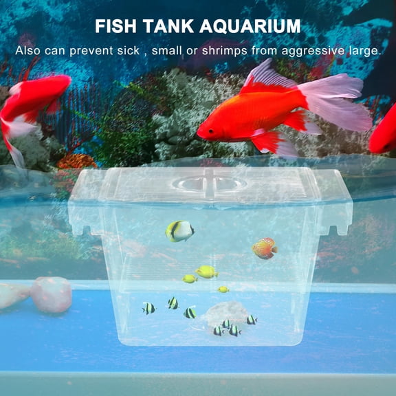 ETHZZLE Aquarium Fry Box with Transparent Acrylic Isolation for Small Fish and Shrimp Breeding