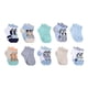 thumbnail image 1 of Calcetines Bluey Quarter para niños de 2 a 4 toneladas, paquete de 10 unidades, color blanco, 1 of 5