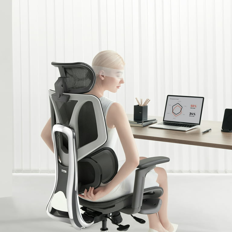 Hbada Ergonomic Office Chair Elastic Adaptive Adjustment Back Lumbar  Support Computer Chair, High-Density Breathable Nylon Mesh Aluminum Alloy  Bracket Desk Chair with Footrest 