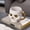 White + Gold, variant on Creative Gothic Novelty Skull Mug , Coffee Tea Cup ,Ceramic Milk Tea Cup Breakfast Morning Mug Water cup-18.6 oz(White)