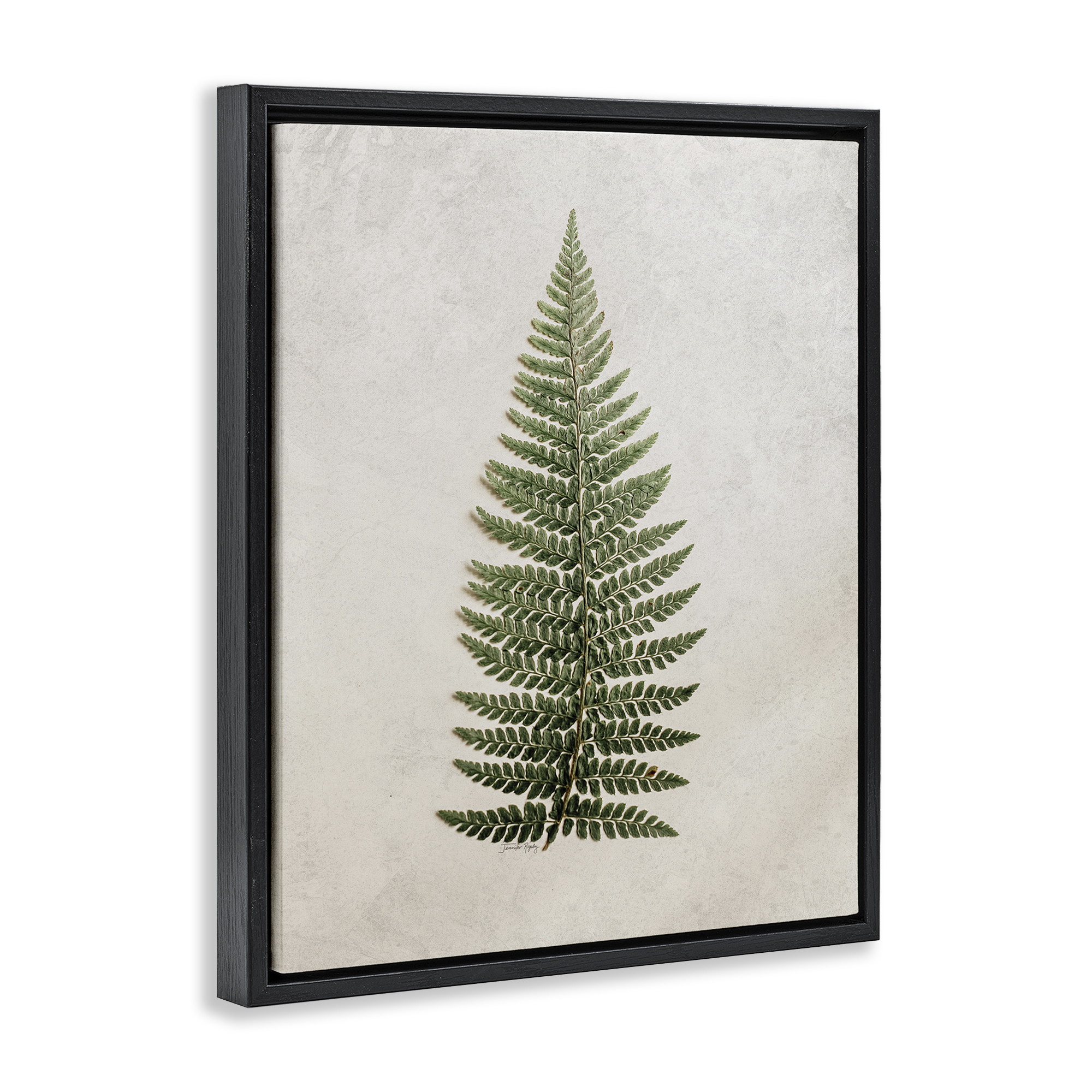 Stupell Industries Detailed Fern Leaf Botanical & Floral Painting Black Floater Framed Art Print Wall Art, 25 x 31