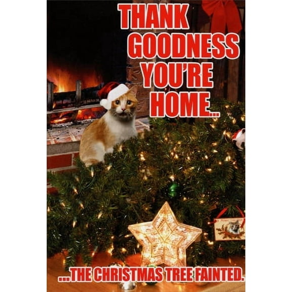 Nobleworks Tree Fainted Cat Box of 12 Funny Christmas Cards