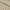 Taupe, variant on BNM Cotton Blend Vintage Medallion Bedspread Set, Twin, Taupe