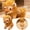 Yellow, variant on Musatteng Dolls Miniature Cabbage Patch Dolls Realistic Cute Plush Toy Soft And Cuddly Stuffed Male For Boys Ideal Birthday Gift Lifelike Plushie Saddlebag Amp Mount Broadband Drop Amp