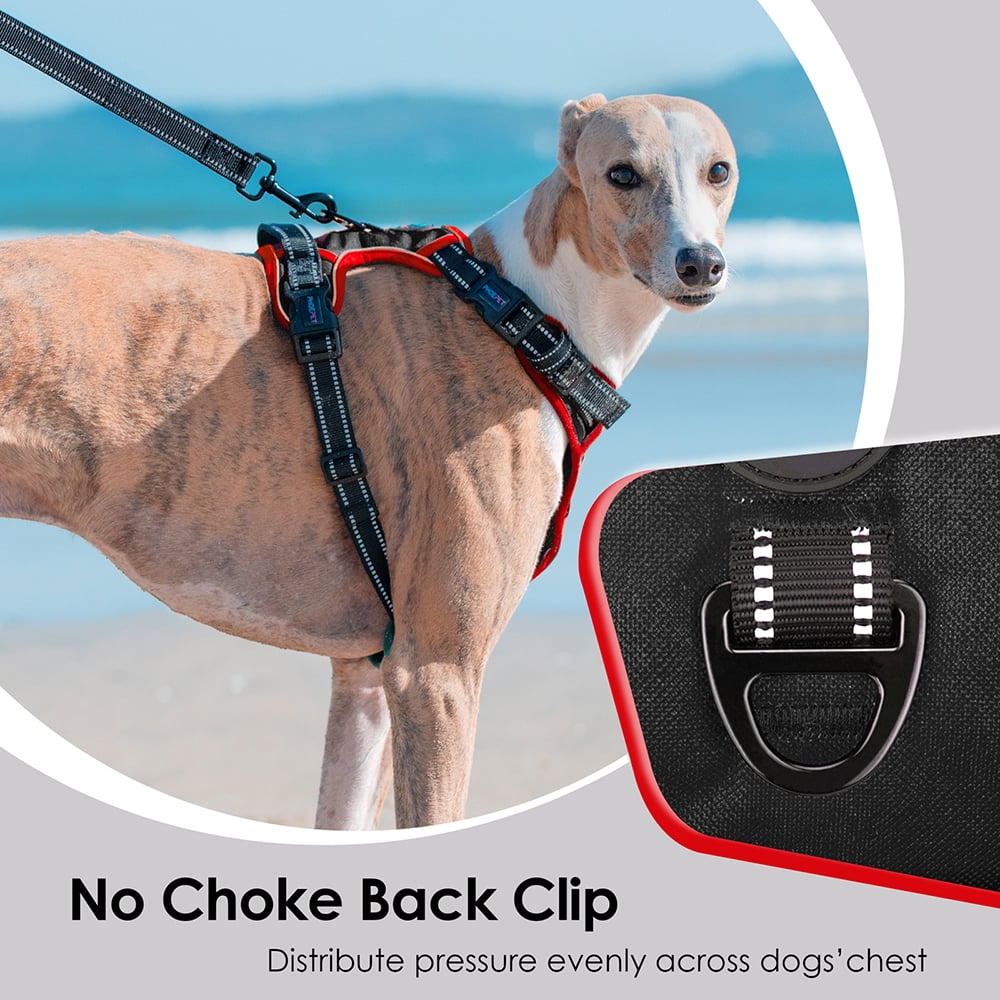 PHOEPET 2019 Upgraded No Pull Dog Harness, Reflective Adjustable Vest, with a Training Handle + 2 Metal Leash Hooks+ 3 Snap Buckles +4 Slide Buckles