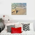 thumbnail image 5 of Orinice  Coastal Posters Beach Pictures, Ocean Beach Prints Wall Art, Summer Tropical Artwork Coastal, Palm Tree Beachy Photos for Teen Girls Room   16x12in, 5 of 6