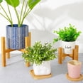 thumbnail image 3 of TRINGKY Plant Stand Modern Design Indoor Plant Stand,Mid Century Wood Flower Pot Holder, 3 of 12