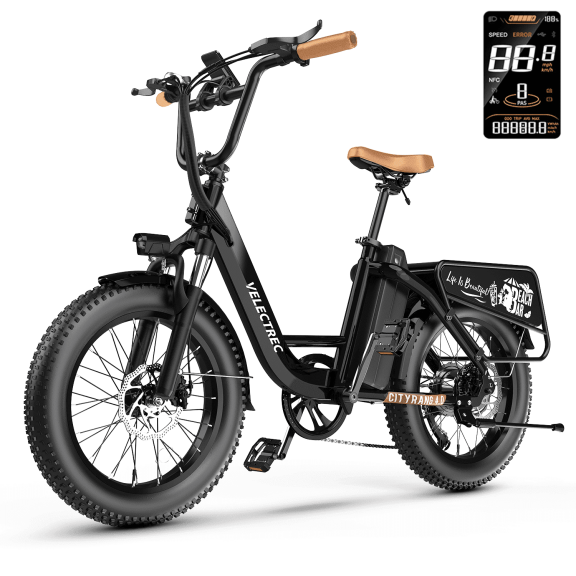 EUY 20" Fat Tire Folding Electric Bicycle for Adults,750W Motor 48V20Ah Removable Lithium Battery,Black